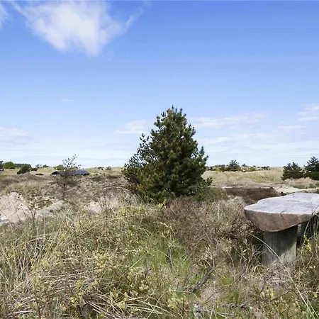 Tv1181-bindslev-musvitvej-11